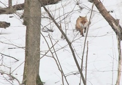 photo_big.jpg