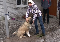 photo_big.jpg